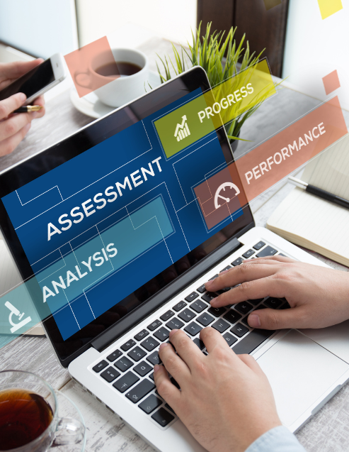 IT Assessments